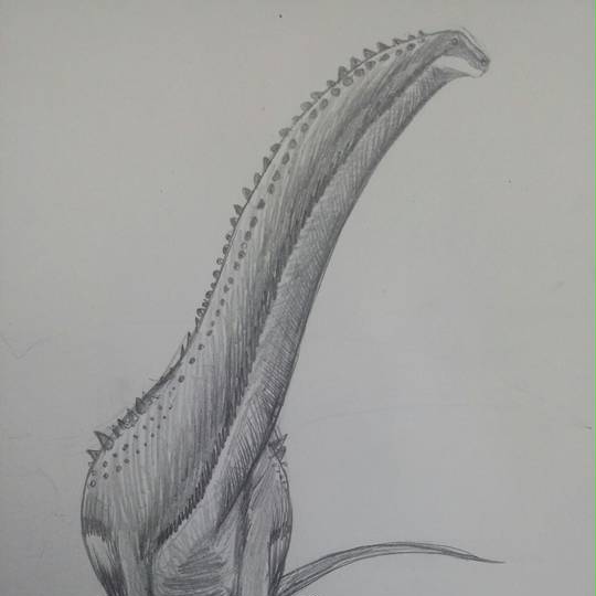 ティタノサウルス類 てぃたのさうるするい とは ピクシブ百科事典