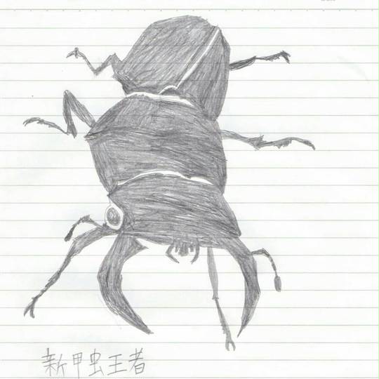 グランディスオオクワガタ ぐらんでぃすおおくわがた とは ピクシブ百科事典