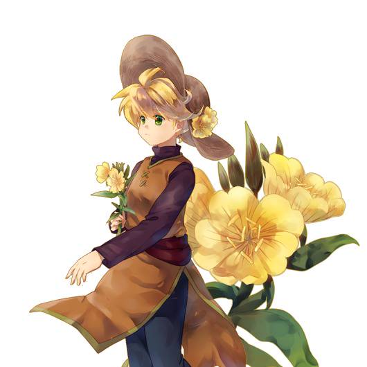 ツキミソウ つきみそう とは ピクシブ百科事典