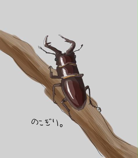 ノコギリクワガタ のこぎりくわがた とは ピクシブ百科事典