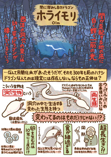 ホライモリ