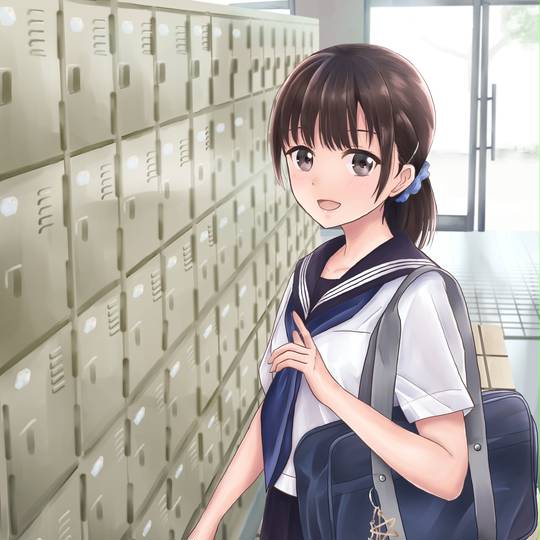 下駄箱 げたばこ とは ピクシブ百科事典