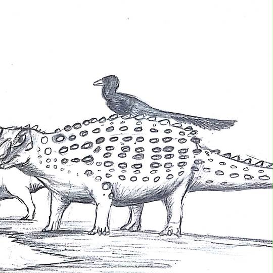 シャモサウルス しゃもさうるす とは ピクシブ百科事典