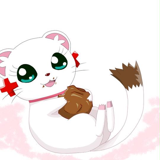 コジョルー こじょるー とは ピクシブ百科事典