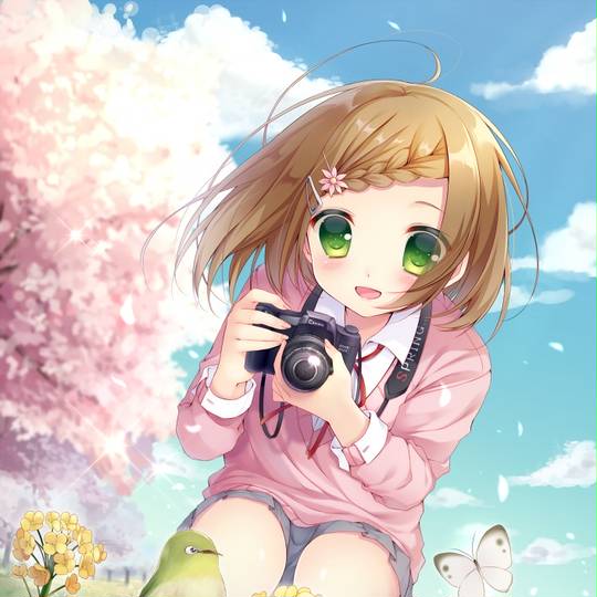 カメラ少女 かめらしょうじょ とは ピクシブ百科事典