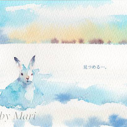 エゾユキウサギ えぞゆきうさぎ とは ピクシブ百科事典