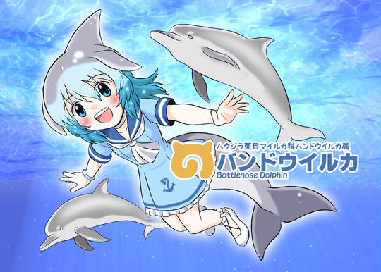 バンドウイルカ けものフレンズ ばんどういるか とは ピクシブ百科事典