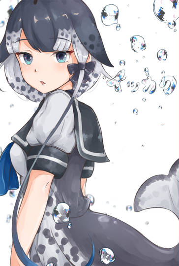 イッカク けものフレンズ いっかく とは ピクシブ百科事典 イッカク けものフレンズ いっかく とは ピクシブ百科事典