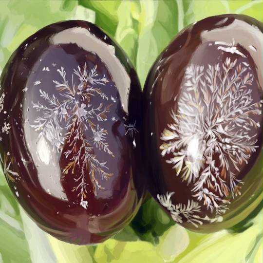 ピータン ぴーたん とは ピクシブ百科事典