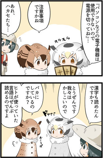 あにさま けものフレンズ あにさま とは ピクシブ百科事典