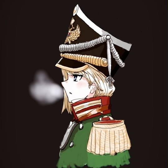 祖国戦争 そこくせんそう とは ピクシブ百科事典