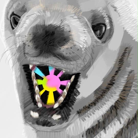 カニクイアザラシ かにくいあざらし とは ピクシブ百科事典 カニクイアザラシ かにくいあざらし とは ピクシブ百科事典