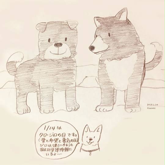 たろじろさん確認ページ maxresdefault.jpg