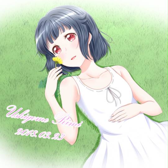 牛込りみ生誕祭18 うしごめりみせいたんさいにせんじゅうはち とは ピクシブ百科事典