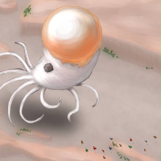 ククルククル くくるくくる とは ピクシブ百科事典