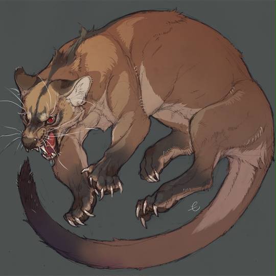 フォッサ 動物 ふぉっさ とは ピクシブ百科事典