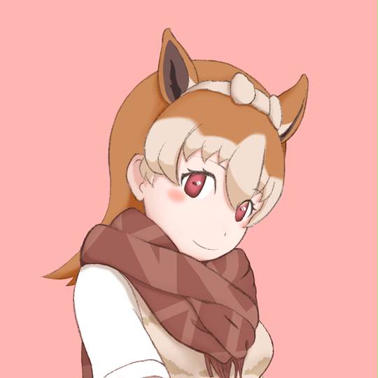 ビクーニャ けものフレンズ びくーにゃ とは ピクシブ百科事典
