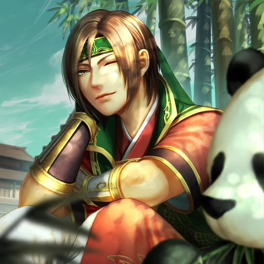 関興 真 三國無双 かんこう とは ピクシブ百科事典