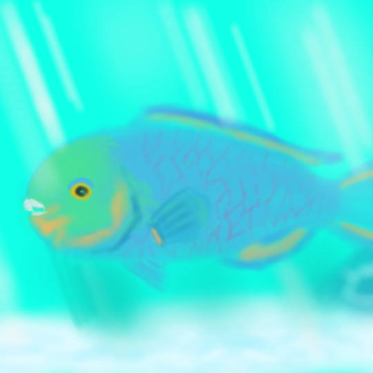 ブダイ 魚 ぶだい とは ピクシブ百科事典