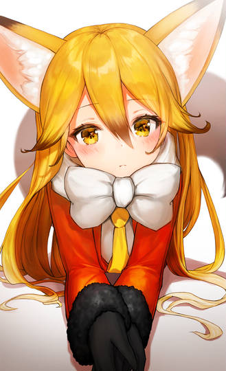 キタキツネ けものフレンズ きたきつね とは ピクシブ百科事典