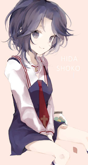 飛騨しょうこ ひだしょうこ とは ピクシブ百科事典