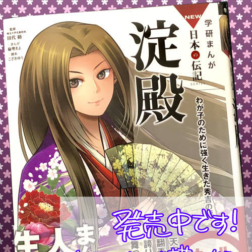 茶々 (ちゃちゃ)とは【ピクシブ百科事典】