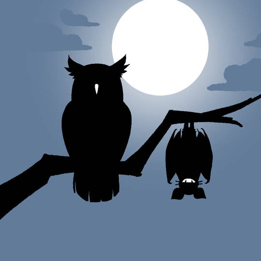 ミミズクとコウモリ みみずくとこうもり とは ピクシブ百科事典