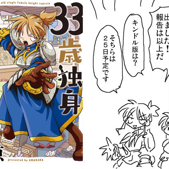 33歳独身女騎士隊長 さんじゅうさんさいどくしんおんなきしたいちょう とは ピクシブ百科事典