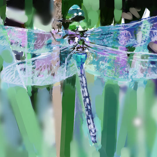 ギンヤンマ ぎんやんま とは ピクシブ百科事典 ギンヤンマ ぎんやんま とは ピクシブ百科事典