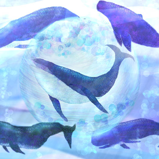 52ヘルツの鯨 (ごじゅうにへるつのくじら)とは【ピクシブ百科事典】