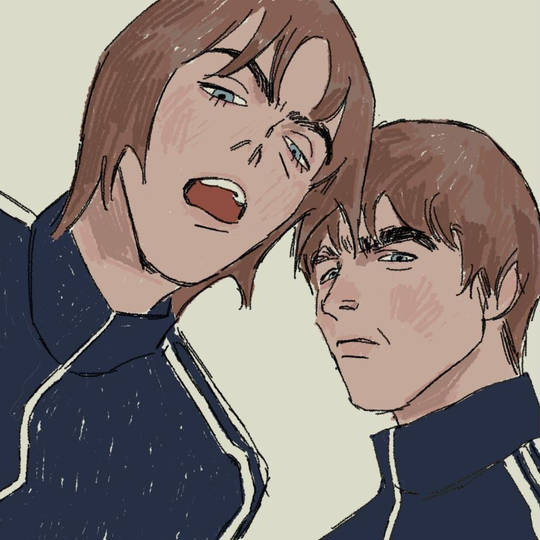 眉毛兄弟 ぎゃらがーきょうだい とは ピクシブ百科事典