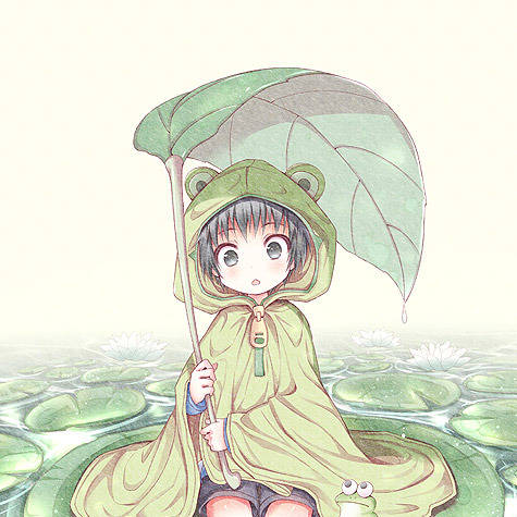 雨がっぱ あまがっぱ とは ピクシブ百科事典