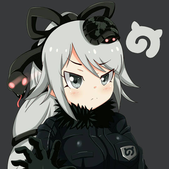 ゲンブ けものフレンズ げんぶ とは ピクシブ百科事典