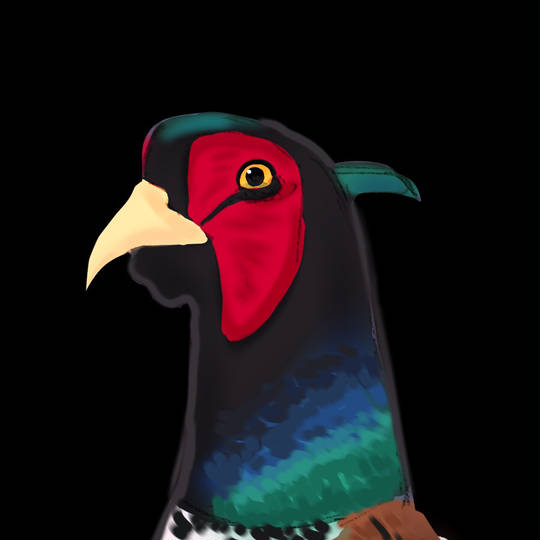 雉 きじ とは ピクシブ百科事典 雉 きじ とは ピクシブ百科事典