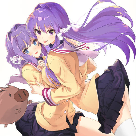 藤林姉妹 (ふじばやししまい)とは【ピクシブ百科事典】
