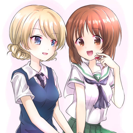 ダーみほ だーみほ とは ピクシブ百科事典