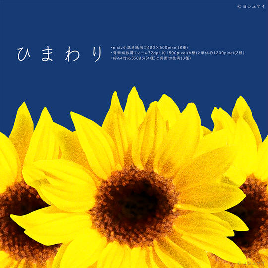 向日葵 ひまわり とは ピクシブ百科事典