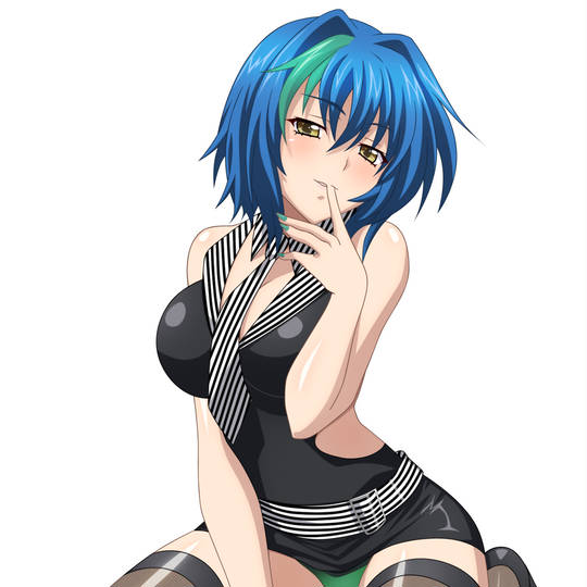 ゼノヴィア ぜのゔぃあ とは ピクシブ百科事典