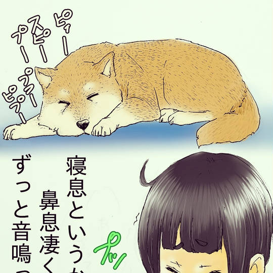 寝息 ねいき とは ピクシブ百科事典