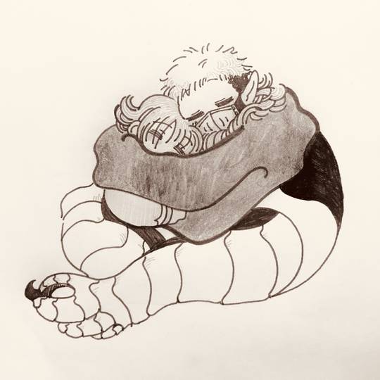 バライル ばらいる とは ピクシブ百科事典