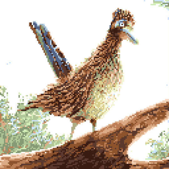 オオミチバシリ おおみちばしり とは ピクシブ百科事典