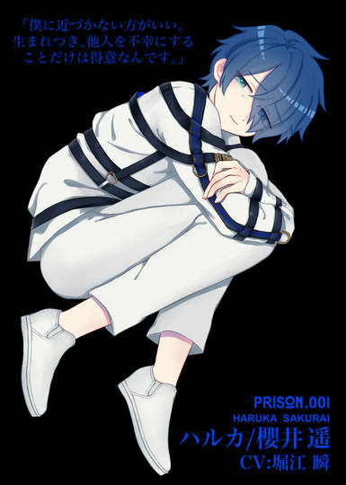 櫻井遥 さくらいはるか とは ピクシブ百科事典