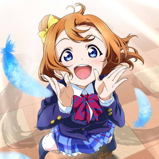 PRカード 5枚セット 高坂穂乃果 園田海未 小泉花陽 絢瀬絵里 矢澤にこ love_live-1696.jpg