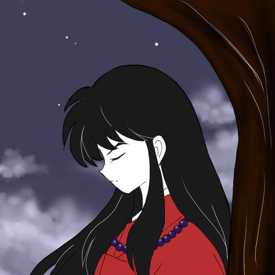 朔 犬夜叉 さく とは ピクシブ百科事典