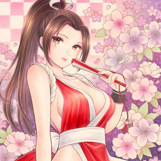 不知火舞 しらぬいまい とは ピクシブ百科事典