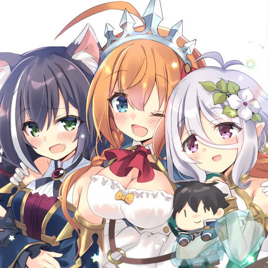 プリンセスコネクト Re Dive ぷりんせすこねくとりだいぶ とは ピクシブ百科事典