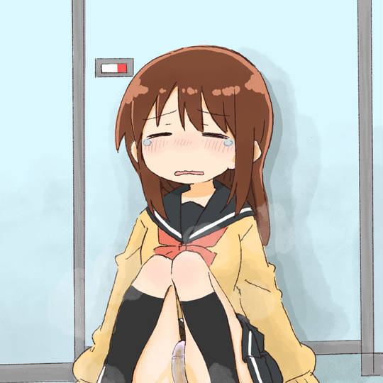 トイレお漏らし といれおもらし とは ピクシブ百科事典
