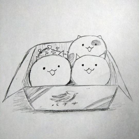 ネコの箱詰め ねこのはこづめ とは ピクシブ百科事典