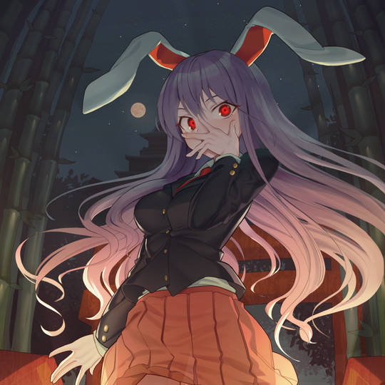 優曇華院 うどんげいん とは ピクシブ百科事典