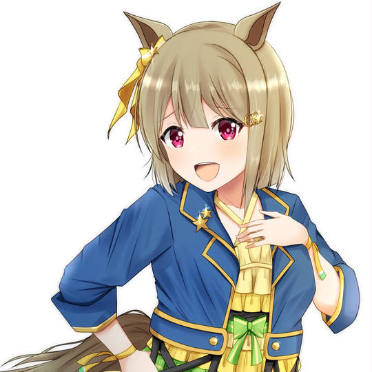 ラブライブ プリティーダービー らぶらいぶぷりてぃーだーびー とは ピクシブ百科事典